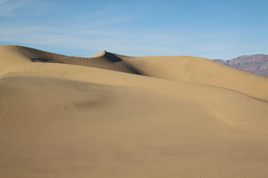 Mesquite Dunes